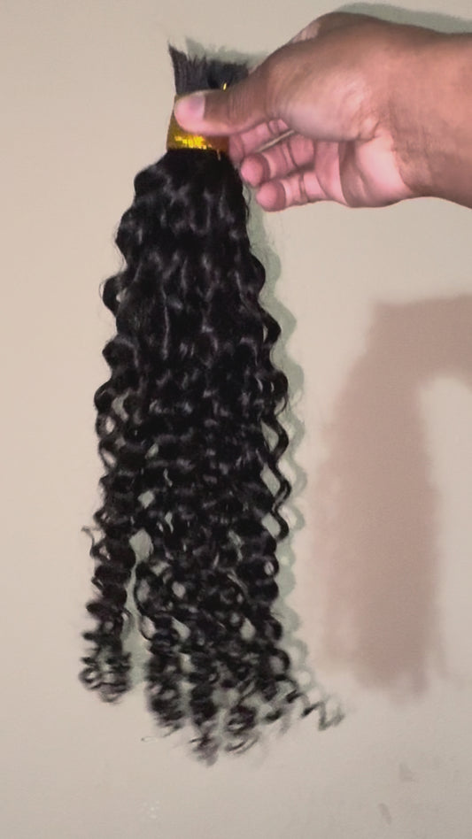 Burmese Curly